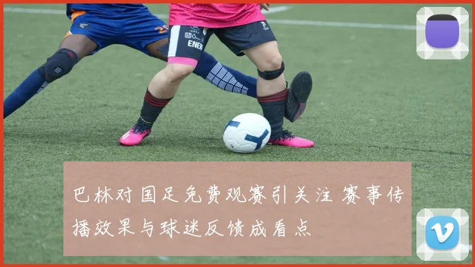 巴林对国足免费观赛引关注 赛事传播效果与球迷反馈成看点