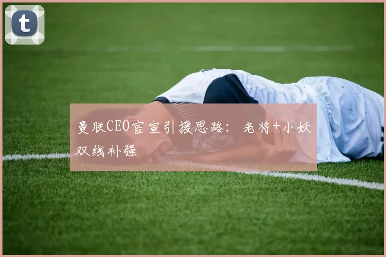 曼联CEO官宣引援思路:老将+小妖双线补强