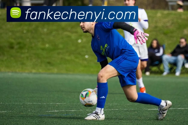 世界杯官网登录appAPP 封面图